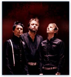 Muse DVD
