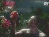 don t speak - video clip gwen stefani