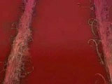 madonna videoclip get together