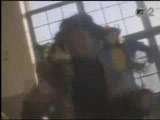 clip carey