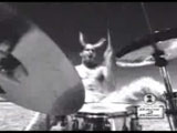 Red Hot Chili Peppers clips video